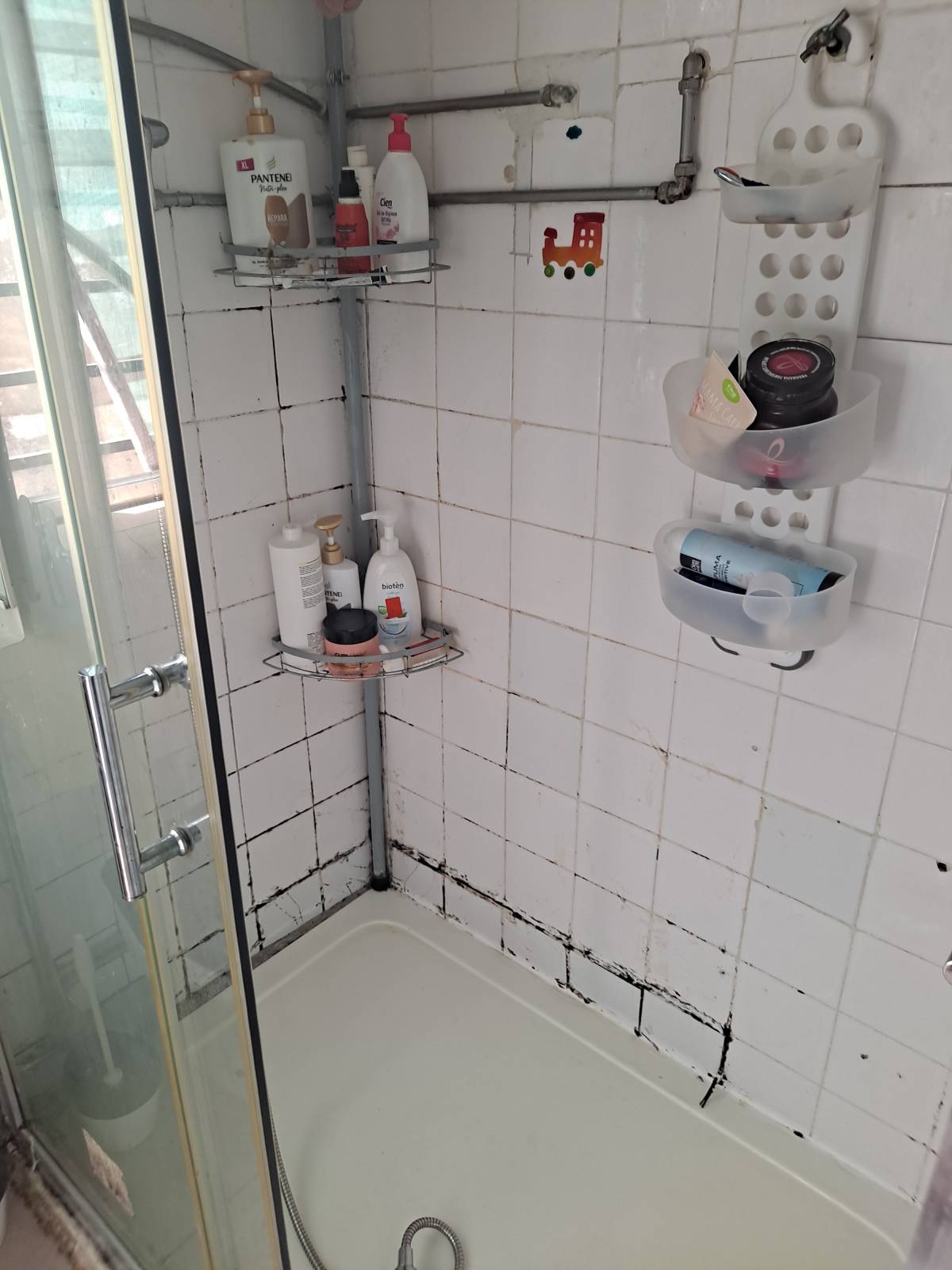 Cleaning service - Moita - Cleaning