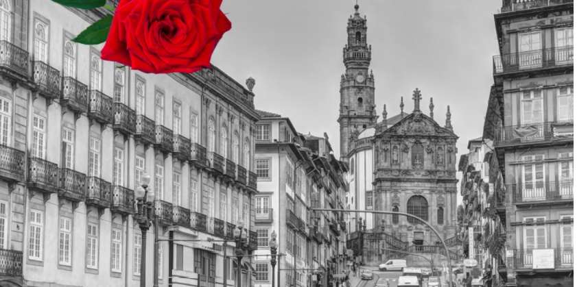 Rosa Reis - Gondomar - Anniversary Party Planning