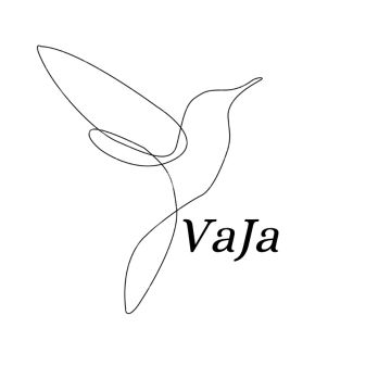 VaJa - Vanda Quinzico - Nazaré - Organização de Festa de Aniversário