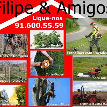 Filipe & Amigos - Porto de Mós - Jardinagem e Relvados