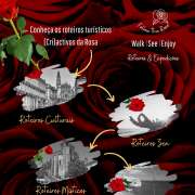 Rosa Reis - Gondomar - Translation