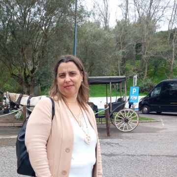 Rute - Benavente - Property Cleanup