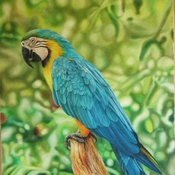 David Lino - Vila Nova de Famalicão - Drawing, Painting and Sculpture classes