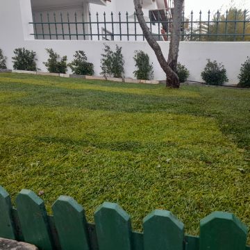 Jardins da Serra - Lisboa - Remoção de Arbustos