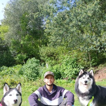 Enzo - Almada - Hundesitter