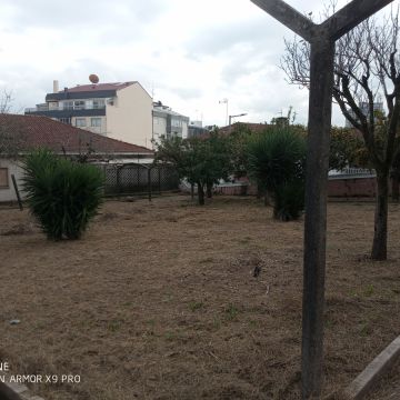 Luís Oliveira prestação de serviços - Santa Maria da Feira - Trituración y eliminación de tocones