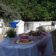 Sofia Madeira - Food & Drinks, Unipessoal, Lda - Almada - Catering para Eventos (Serviço Completo)