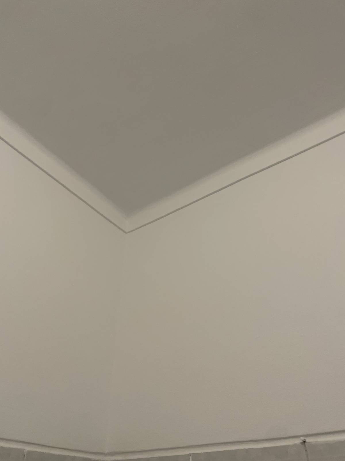Carlos - Coimbra - Pintura Exterior