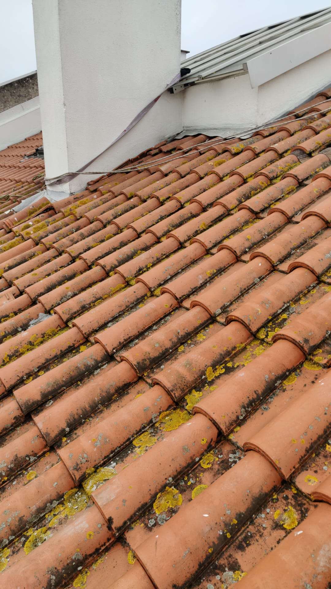 Kgs - Lisboa - Property Cleanup