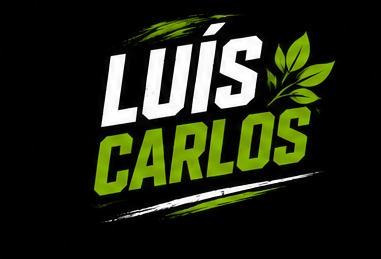 Luis carlos - Santa Comba Dão - Rohrleitungen im Außenbereich reparieren oder warten