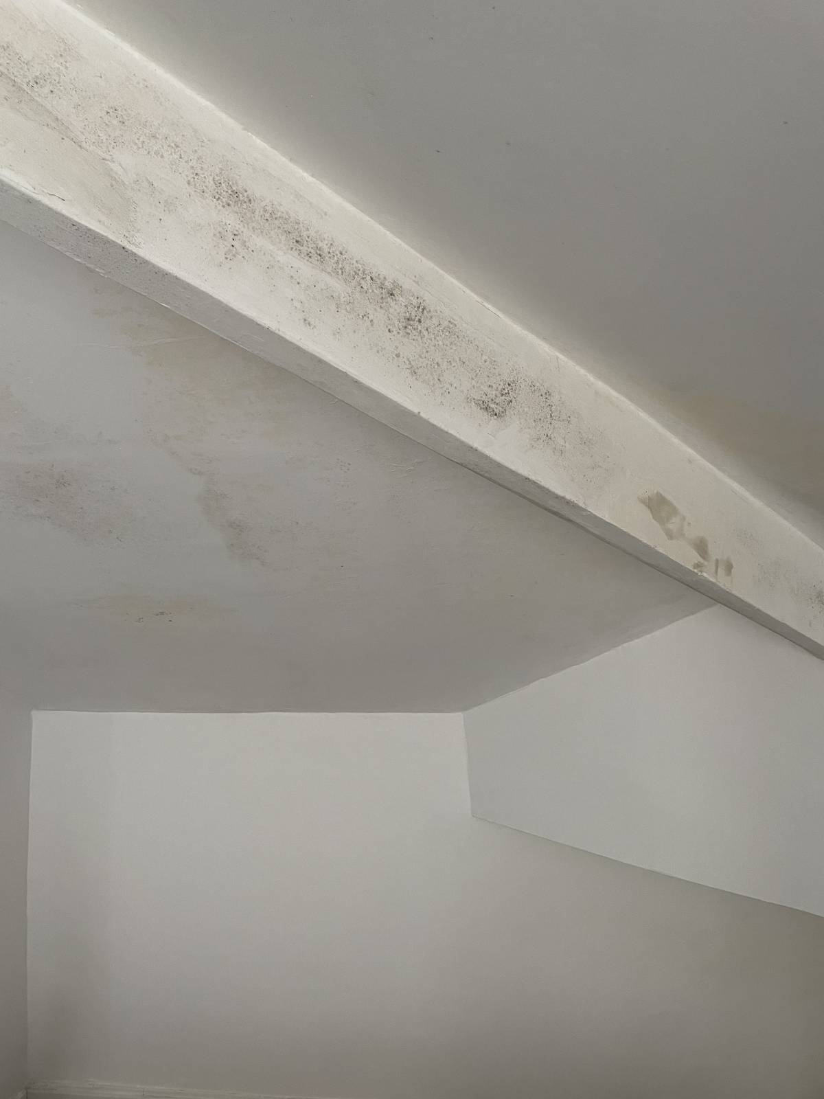 Carlos - Coimbra - Pintura de interiores