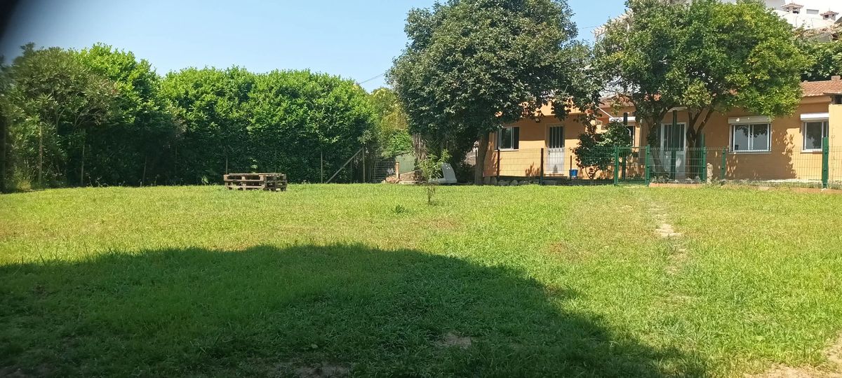 Mary - Vila Nova de Gaia - Dog Daycare