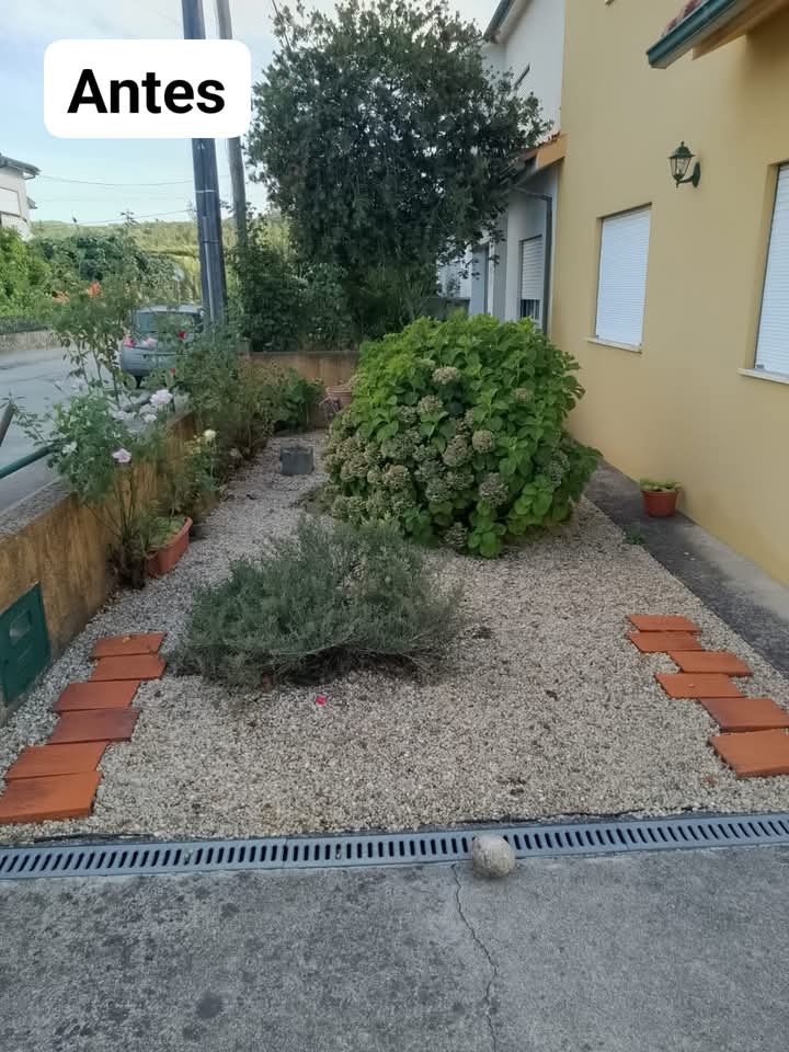 Alberth Porto - São Pedro do Sul - Unkraut jäten