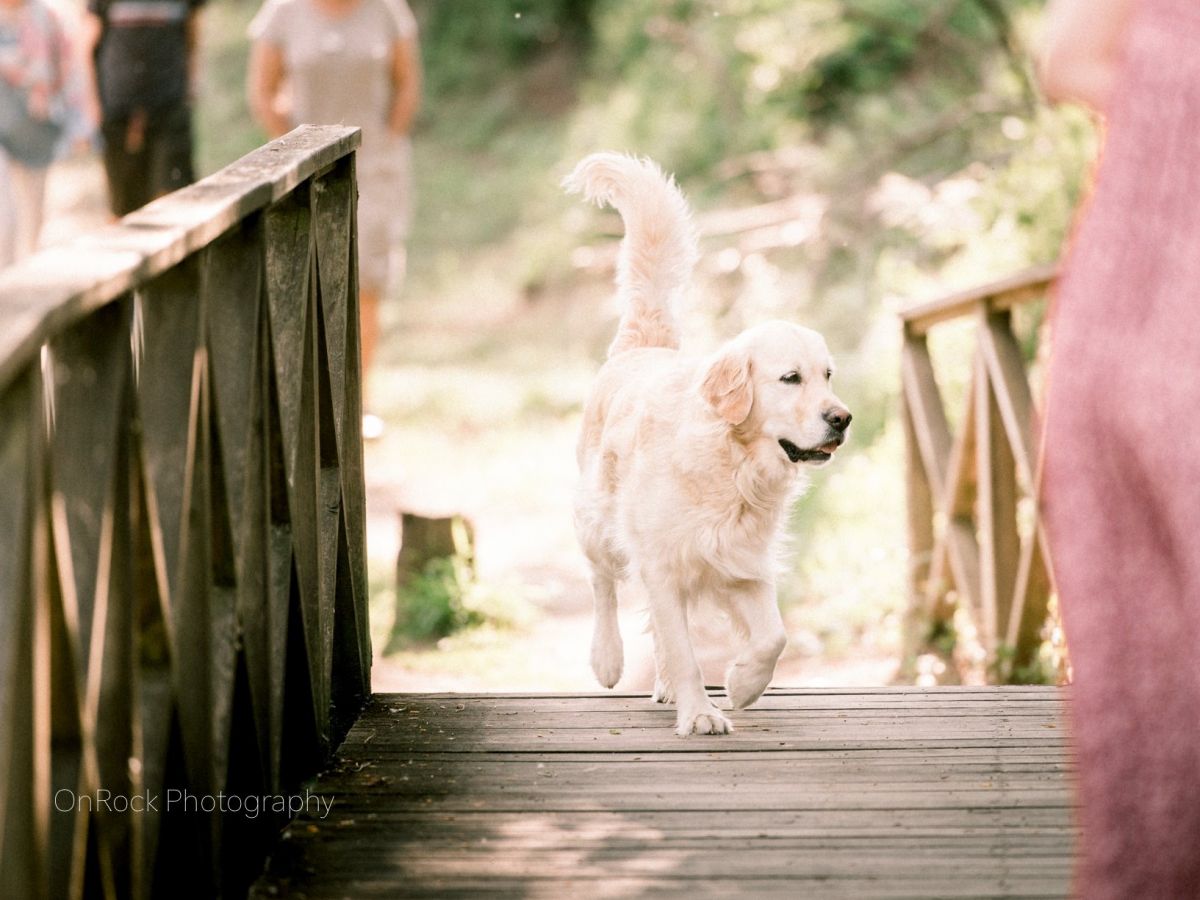 OnRock Photography - Viana do Castelo - Fotografia de Rosto (Personalizada)