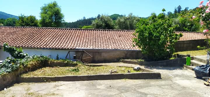 Alberth Porto - São Pedro do Sul - Rasenmähen und Schneiden (einmalig)