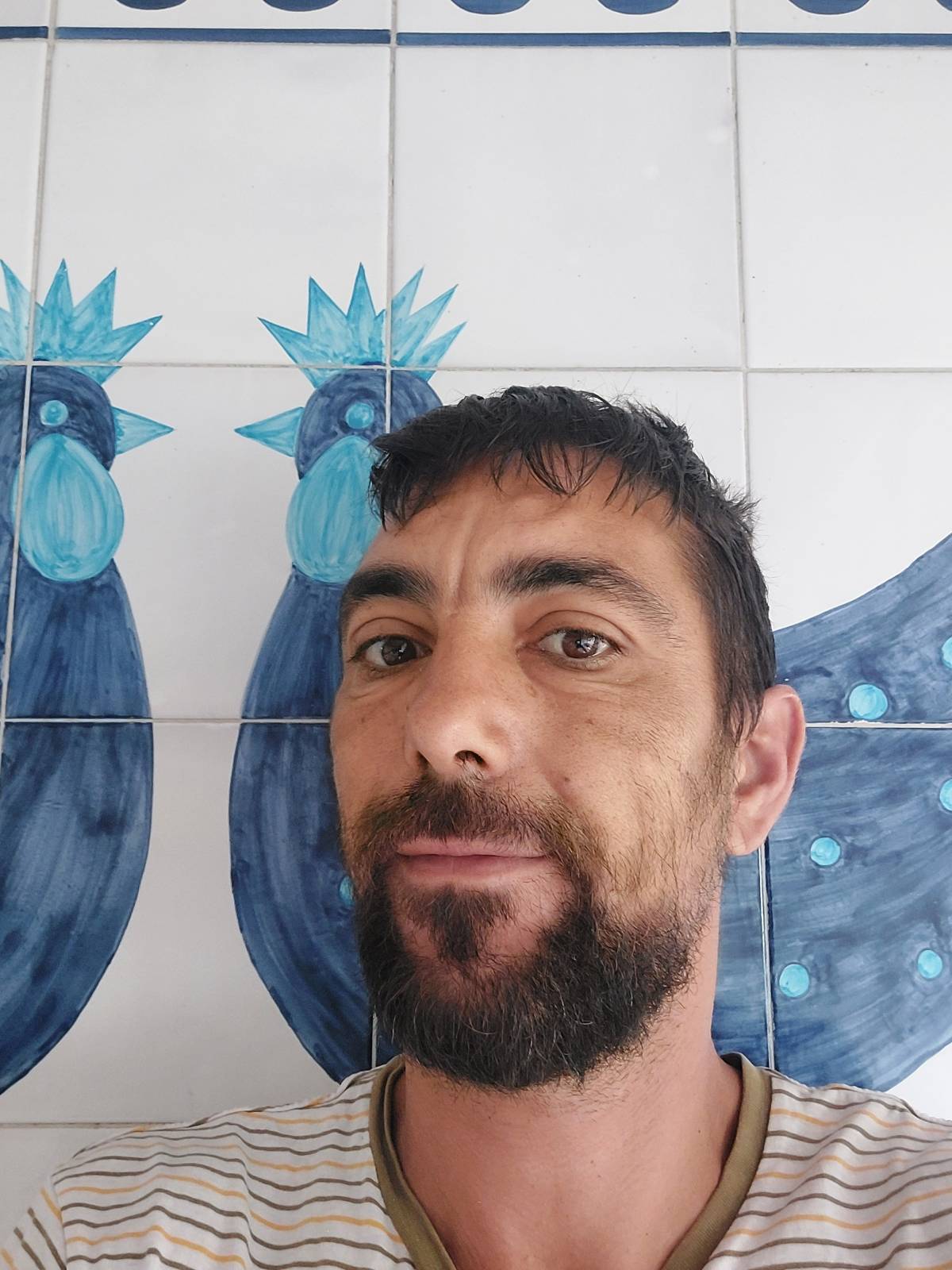 Au cœur du bois - Oeiras - Poda e Manutenção de Árvores