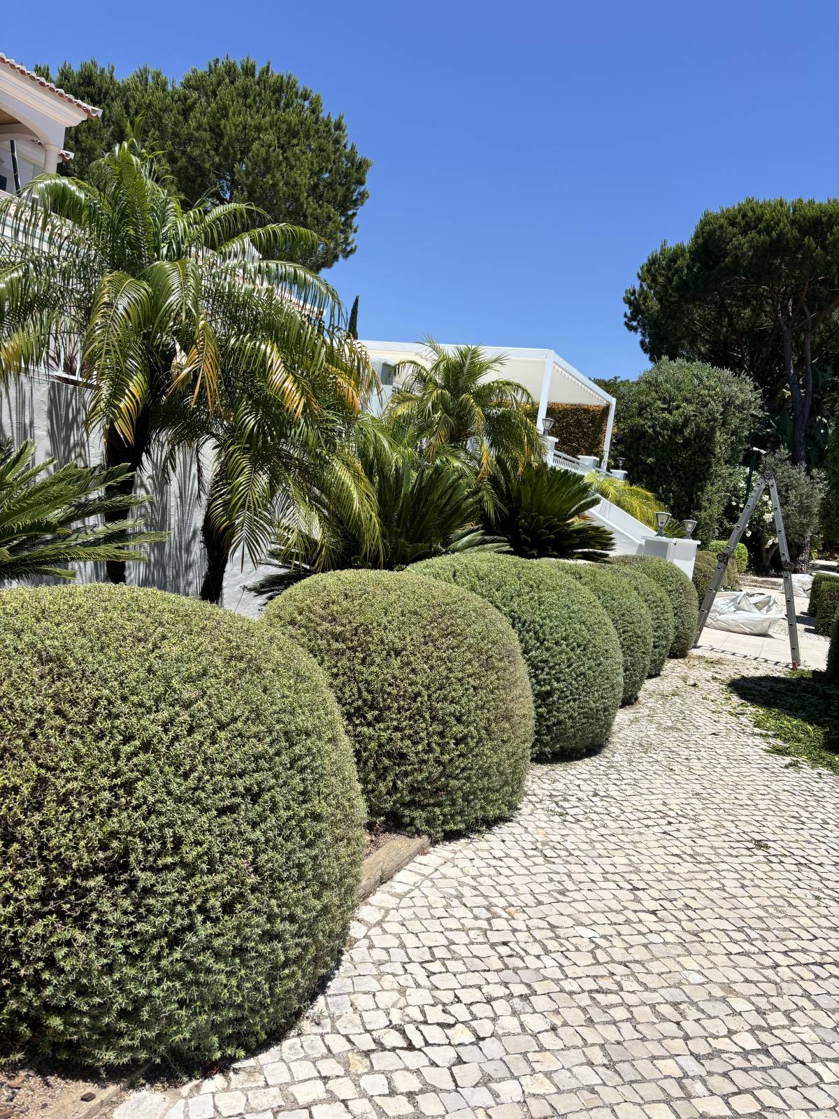 I&J Garden Service - Loulé - Remoção de Arbustos