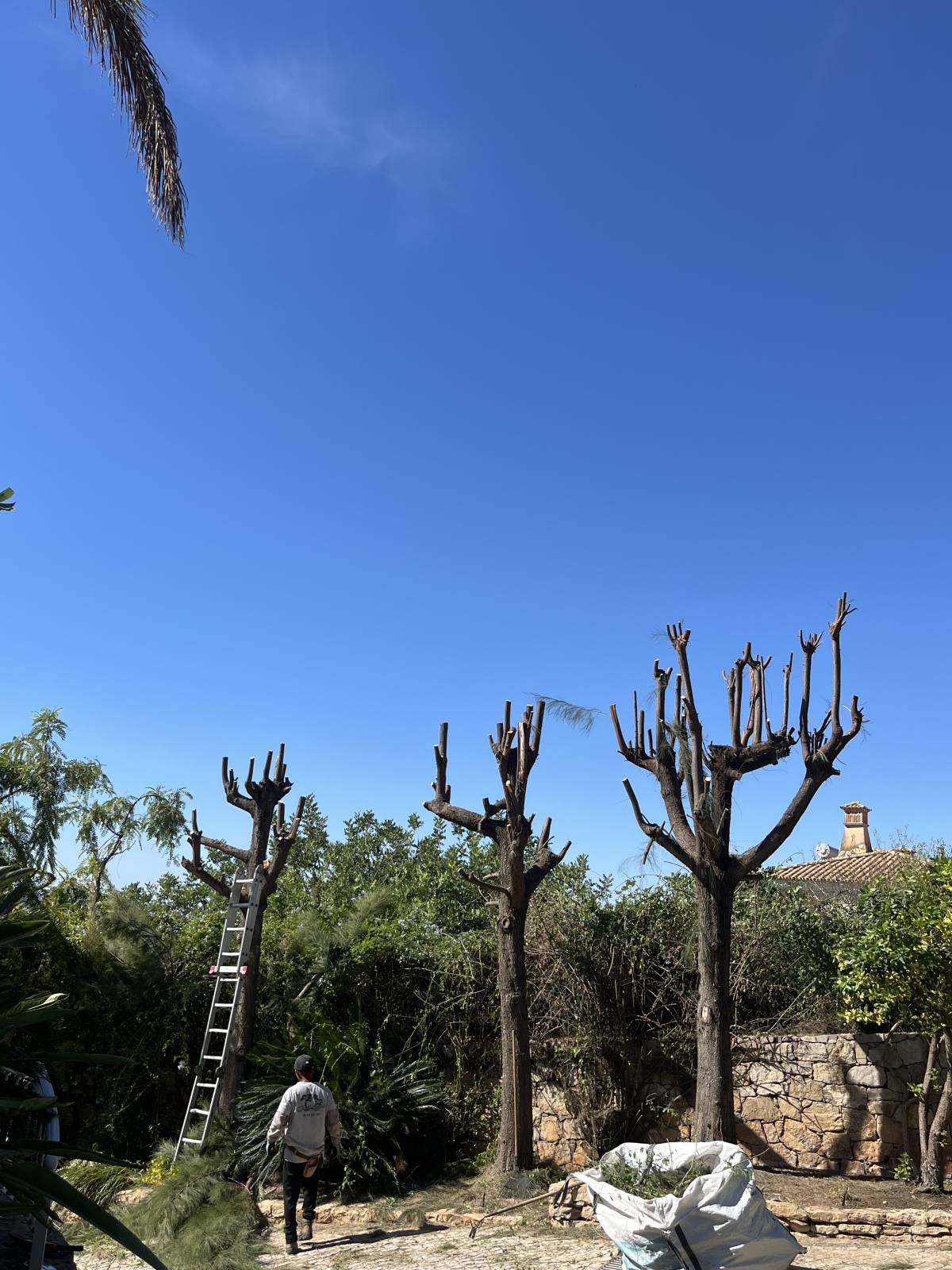 I&J Garden Service - Loulé - Limpeza de Terrenos