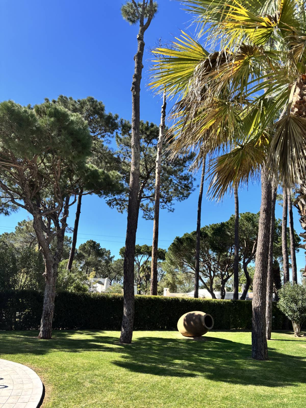 I&J Garden Service - Loulé - Estufas