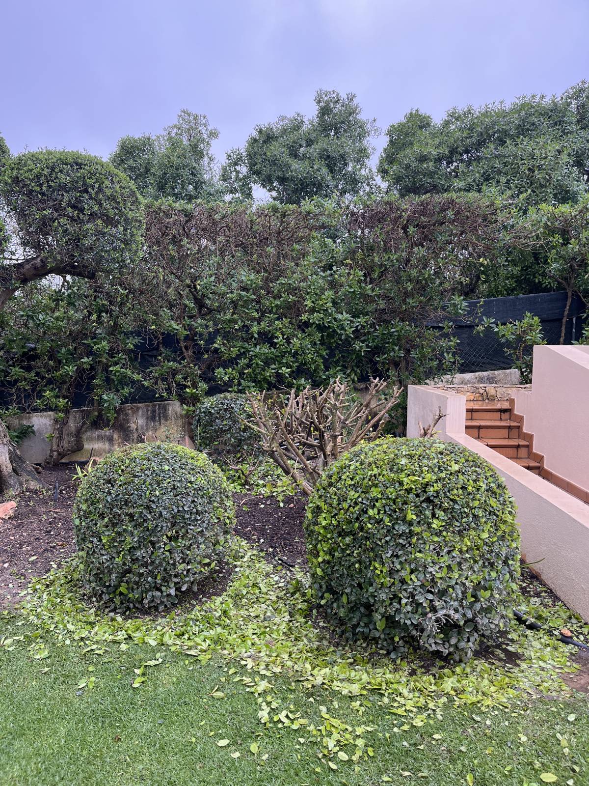 I&J Garden Service - Loulé - Manutenção de Sistema de Rega Gota a Gota