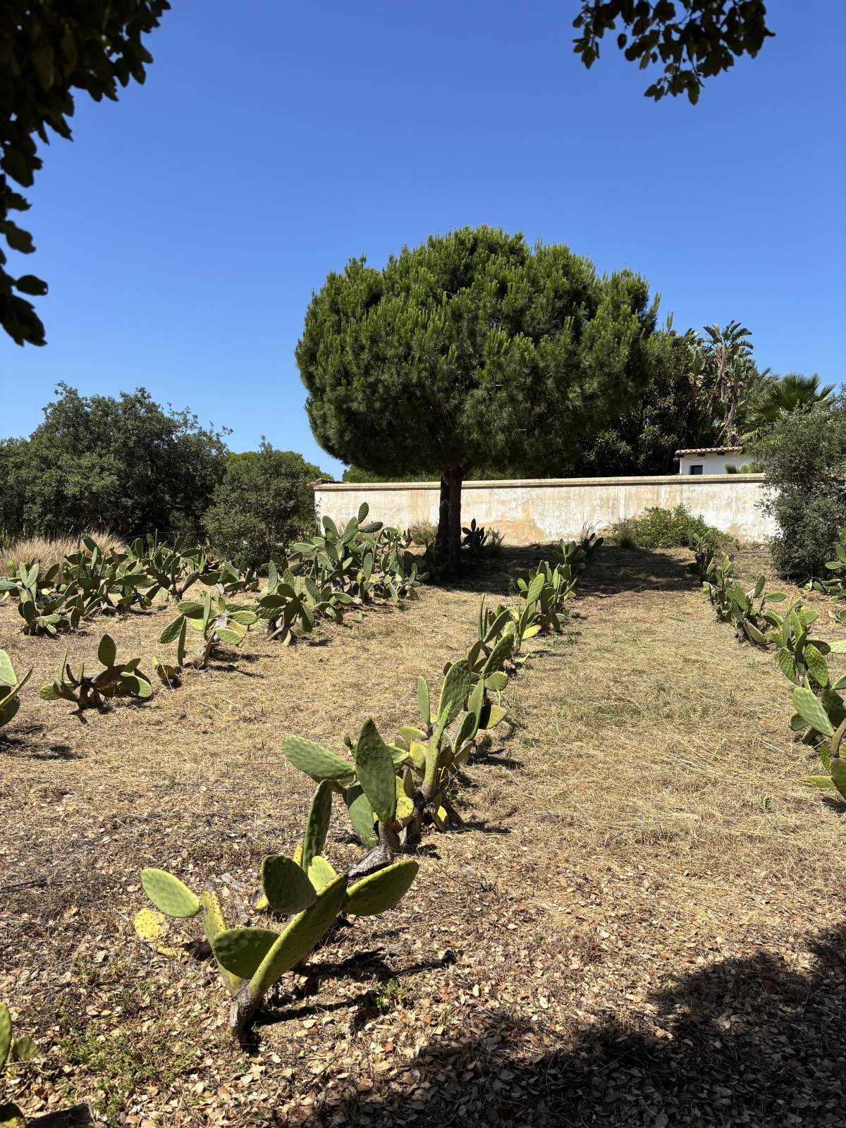 I&J Garden Service - Loulé - Instalação de Relva Artificial