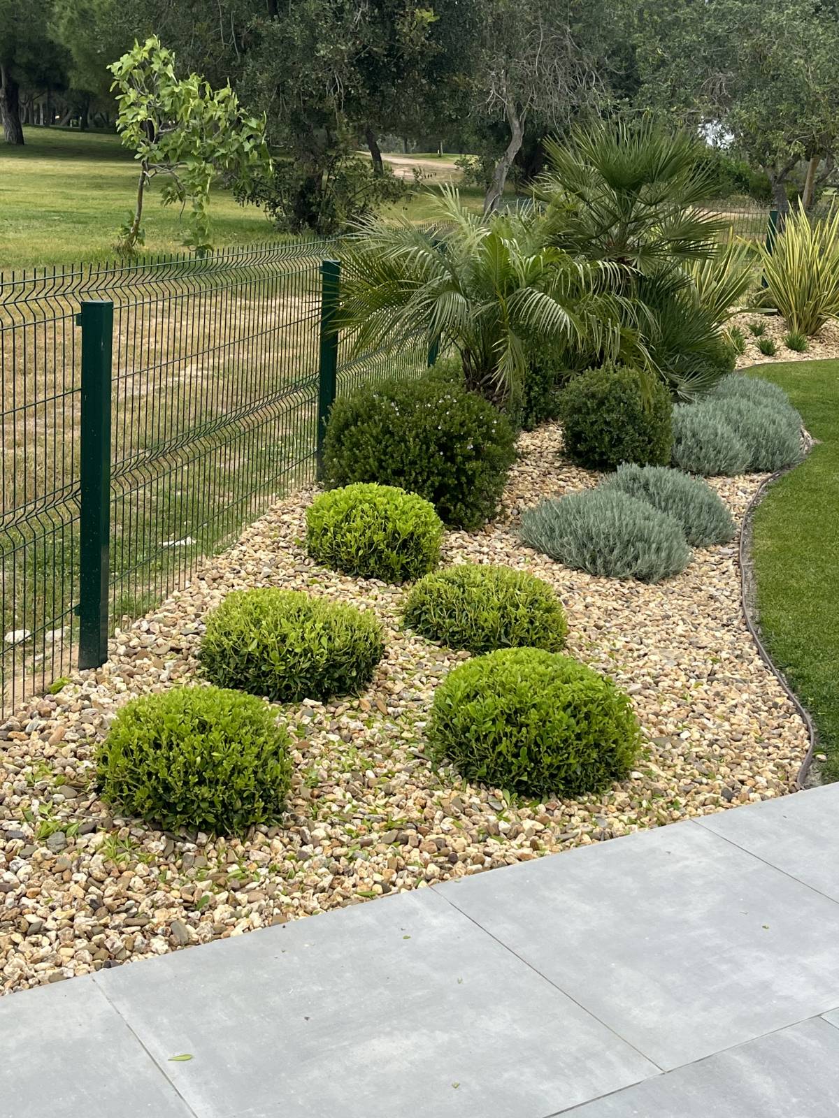 I&J Garden Service - Loulé - Plantação de Árvores