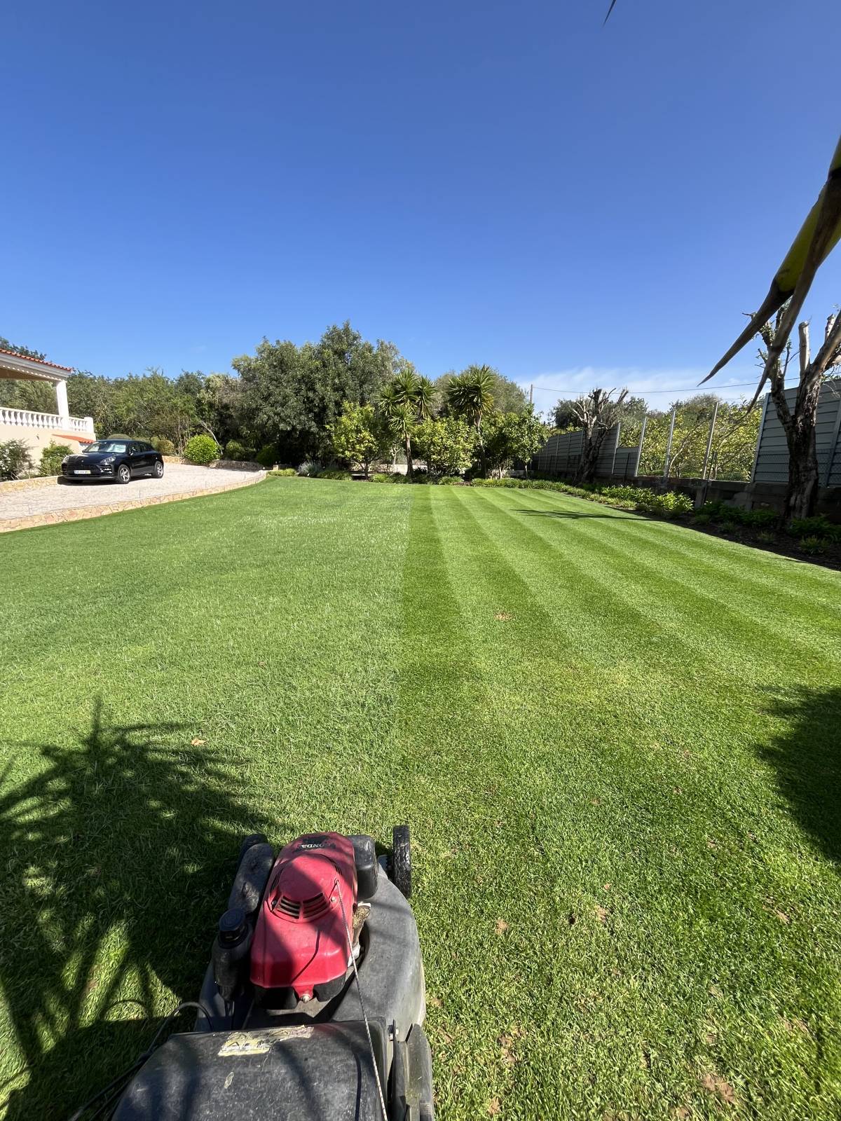 I&J Garden Service - Loulé - Jardinagem