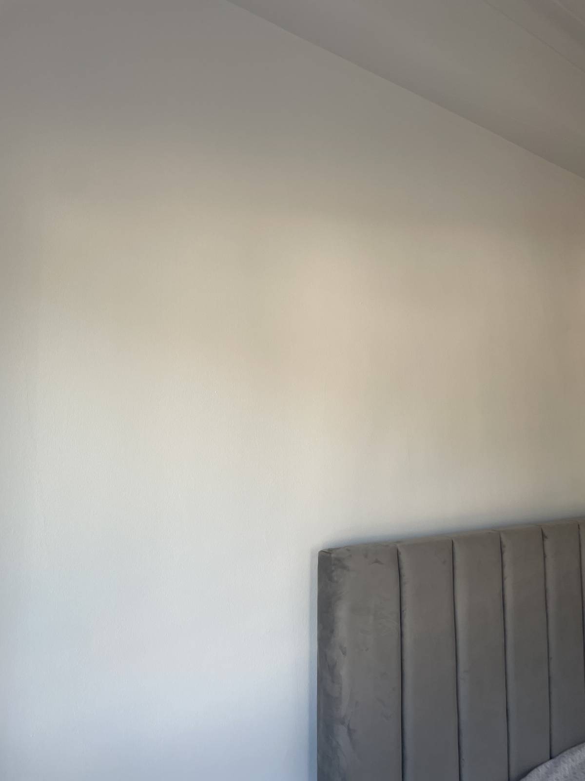 Carlos - Coimbra - Pintura
