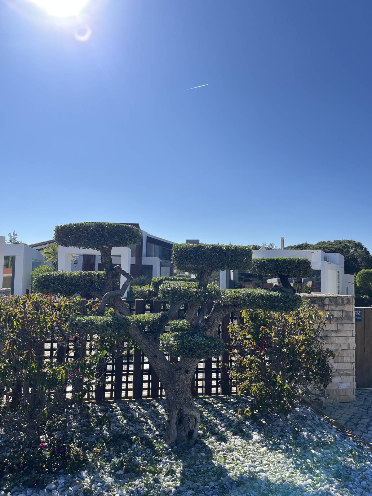I&J Garden Service - Loulé - Jardinagem e Relvados