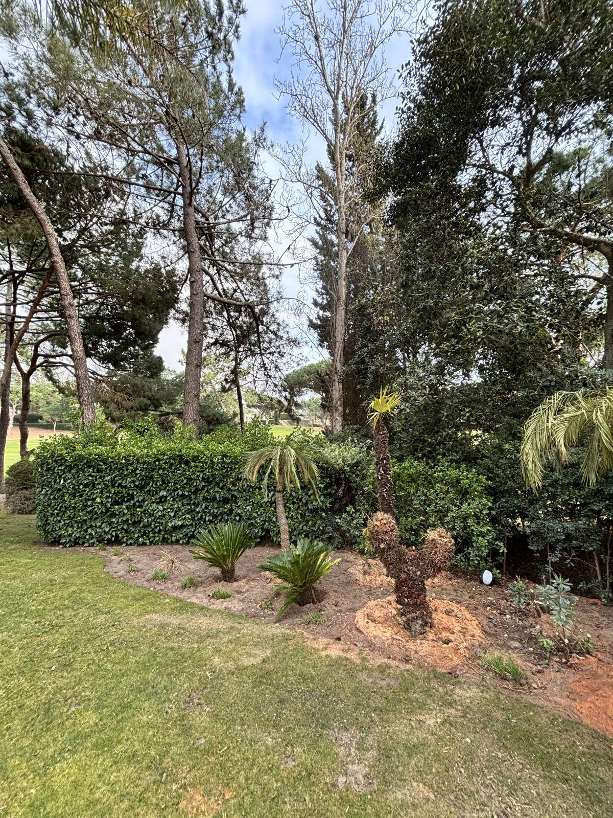 I&J Garden Service - Loulé - Corte e Aparação de Relvado