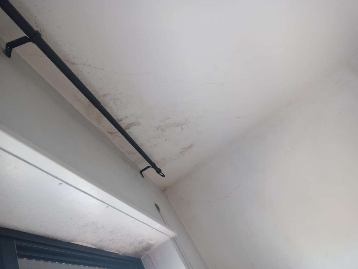 Ladys Clean - Caldas da Rainha - Property Cleanup