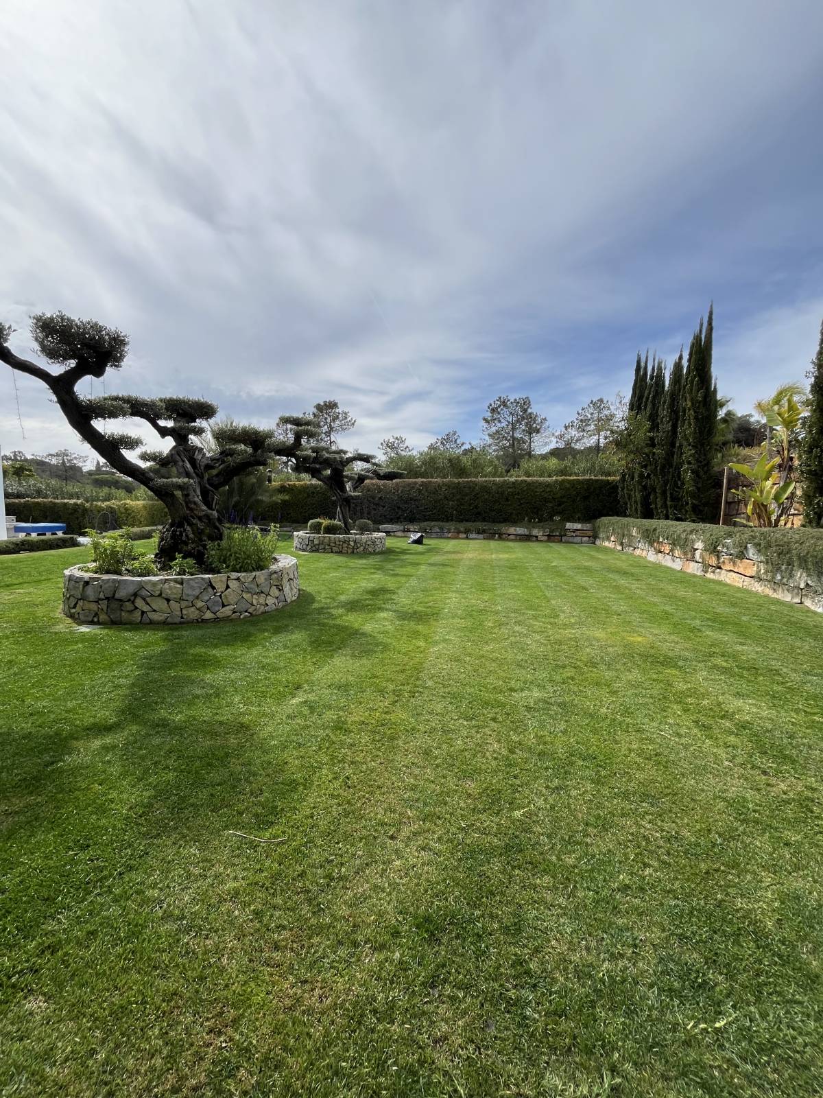 I&J Garden Service - Loulé - Paisagismo