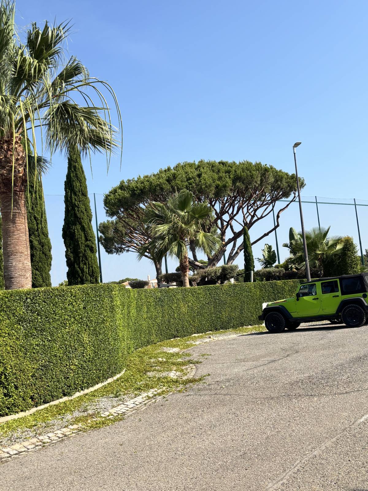 I&J Garden Service - Loulé - Tratamento de Relvado