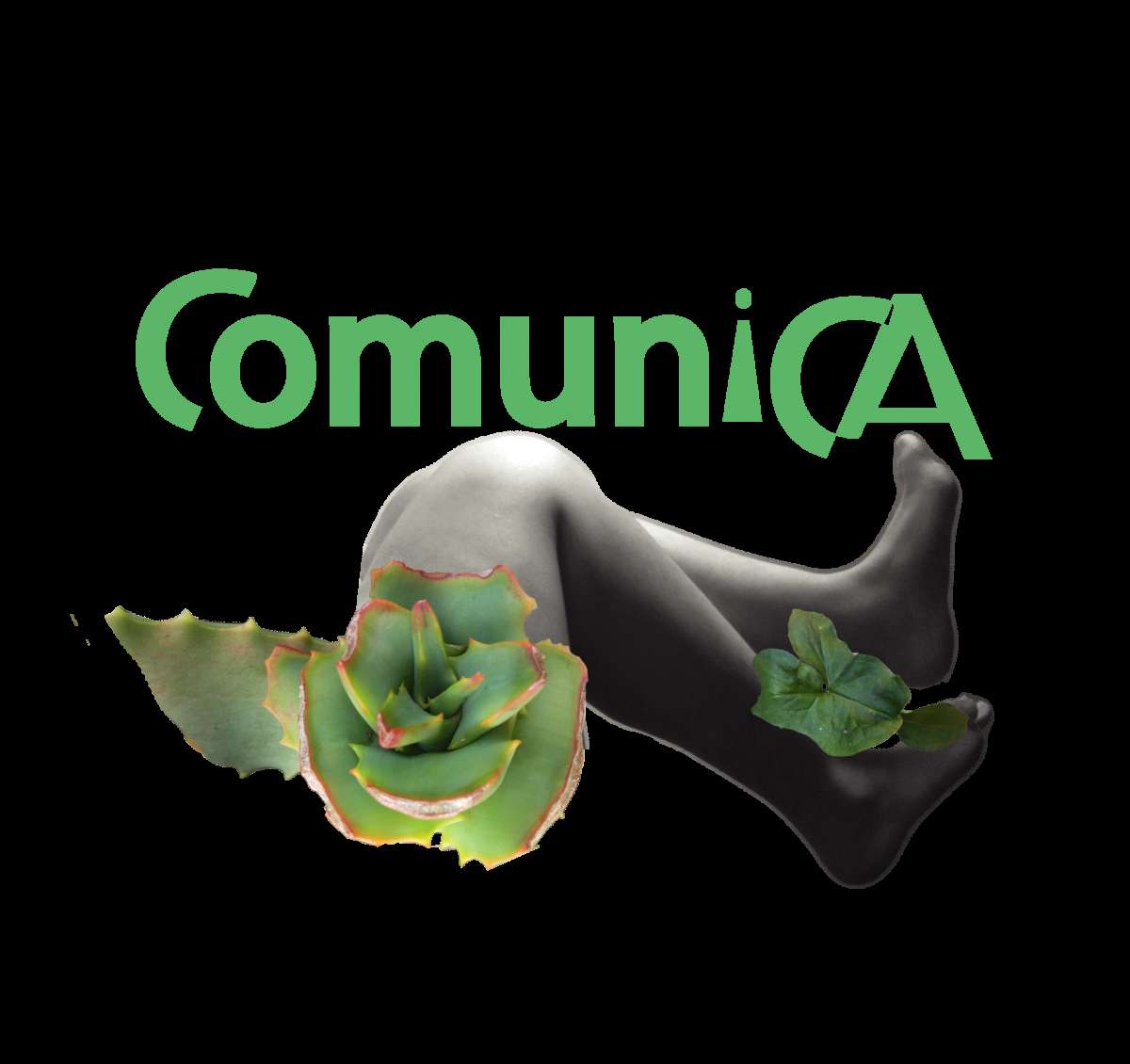 Maria Comunica - Moita - Marketing en redes sociales