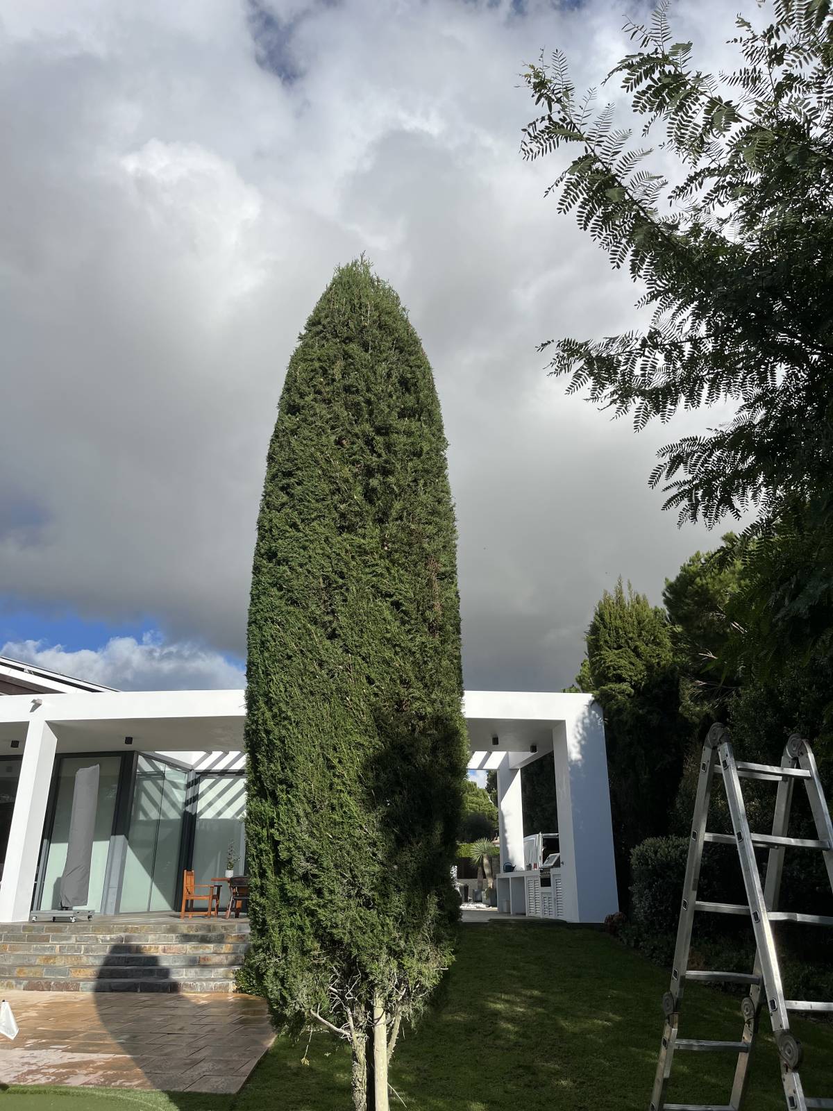 I&J Garden Service - Loulé - Limpa-neves (Residencial)
