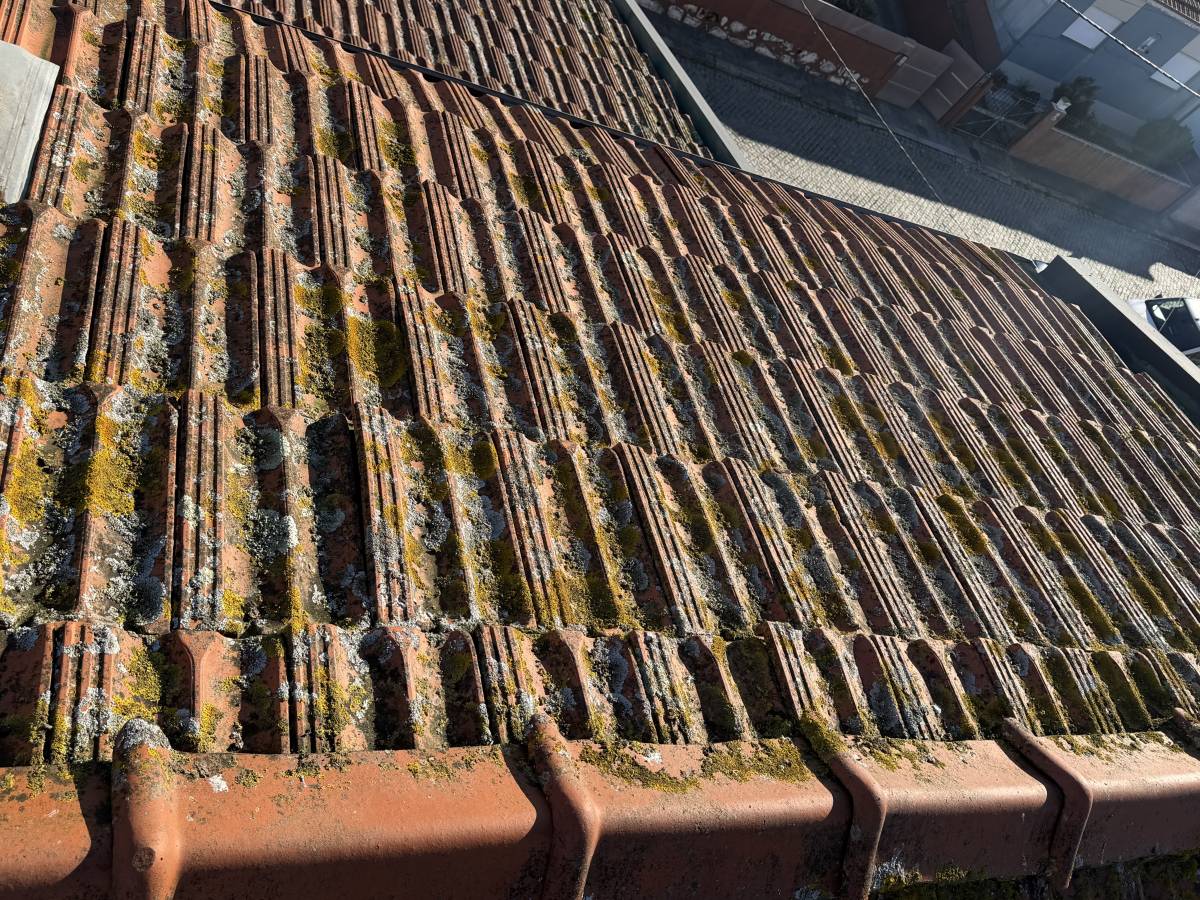 Rope Clean Solutions - Porto - Pintura