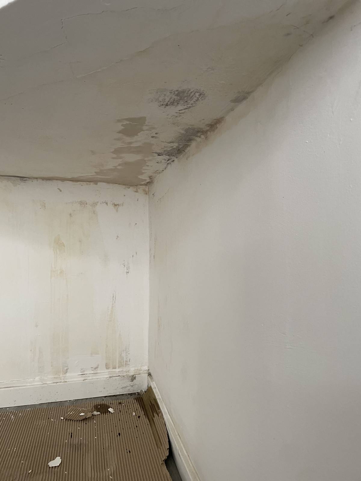 Carlos - Coimbra - Pintura