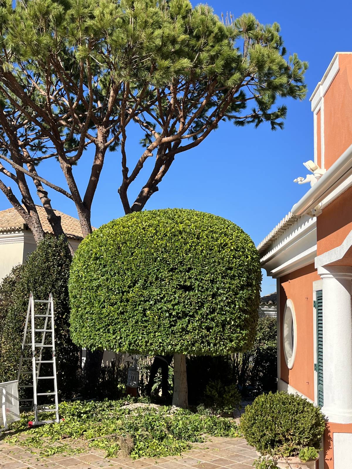 I&J Garden Service - Loulé - Instalação de Sistema de Rega Gota a Gota