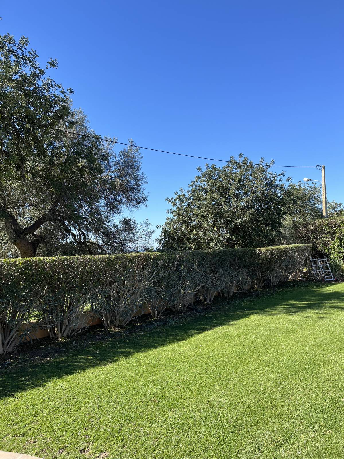 I&J Garden Service - Loulé - Nivelação de Terreno - Grande Dimensão (mais de 1 hectar)