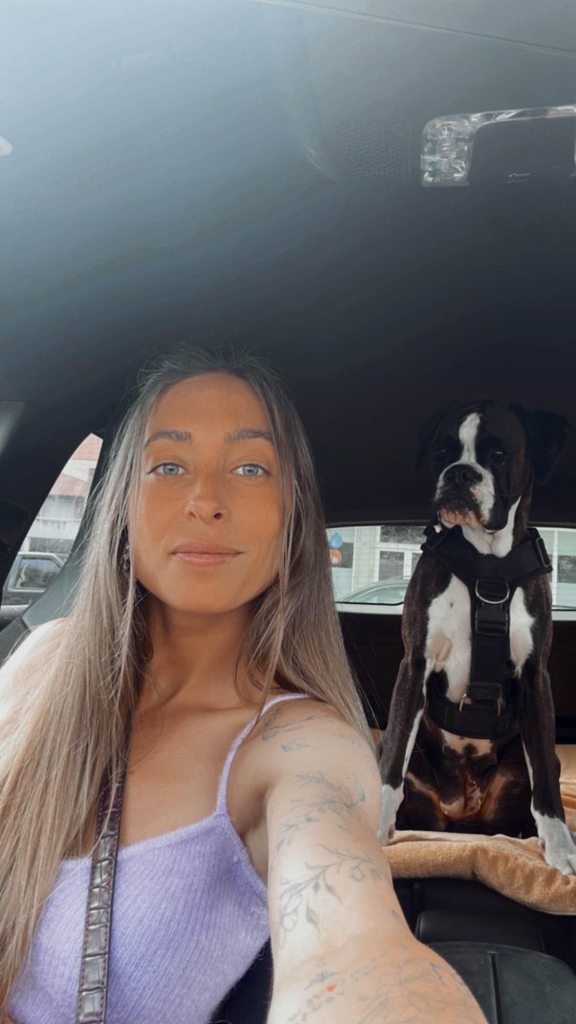 Maria João - Maia - Dog Sitting