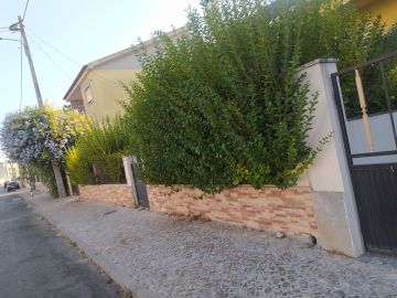 Jardinagem e Relvados - Casa