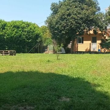 Mary - Vila Nova de Gaia - Dog Daycare