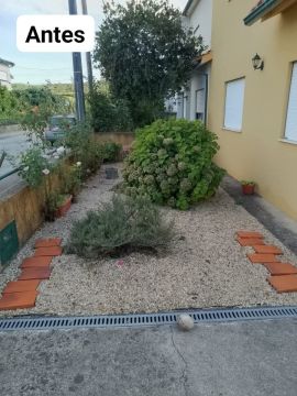 Alberth Porto - São Pedro do Sul - Unkraut jäten