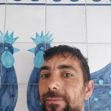 Au cœur du bois - Oeiras - Poda e Manutenção de Árvores
