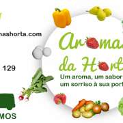 Maria Comunica - Moita - Marketing