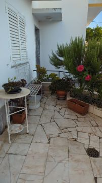 Serviço de Jardinagem - Casa