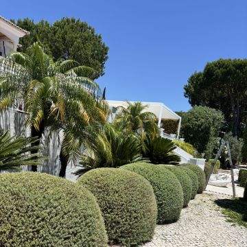 I&J Garden Service - Loulé - Remoção de Arbustos