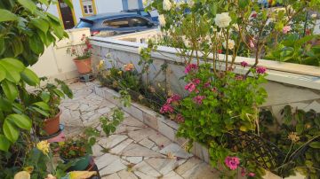 Jardinagem
