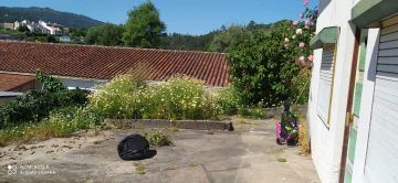 Alberth Porto - São Pedro do Sul - Baumstumpf oder -wurzel wegfräsen und entfernen