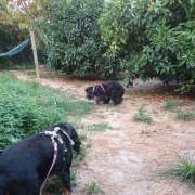 Mary - Vila Nova de Gaia - Hotel for Cats